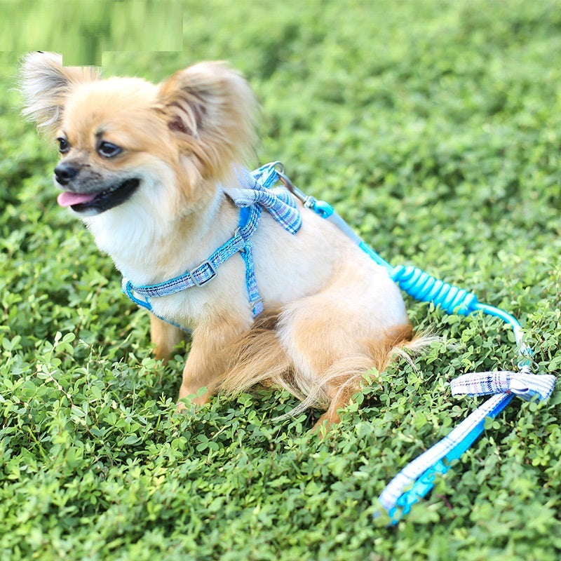 Small And Medium-sized Leash Pet Dog Supplies