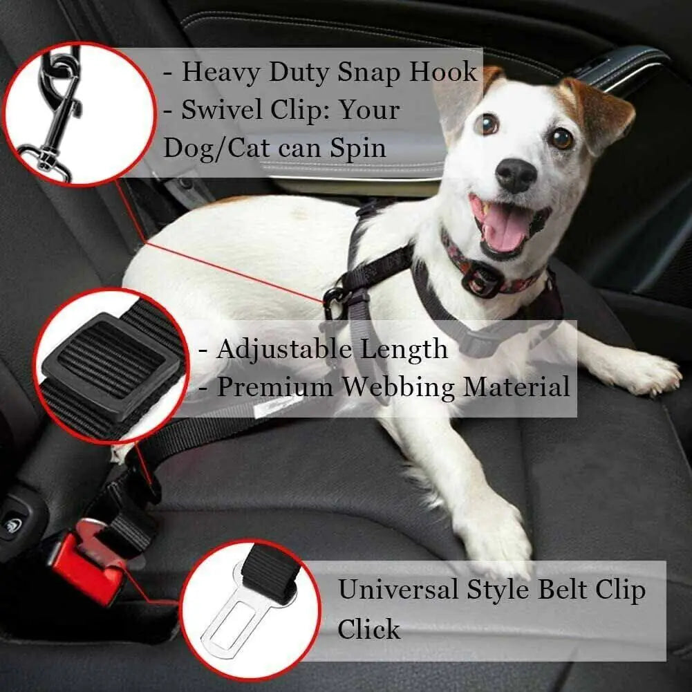 Dual Pet Car Safety Belts