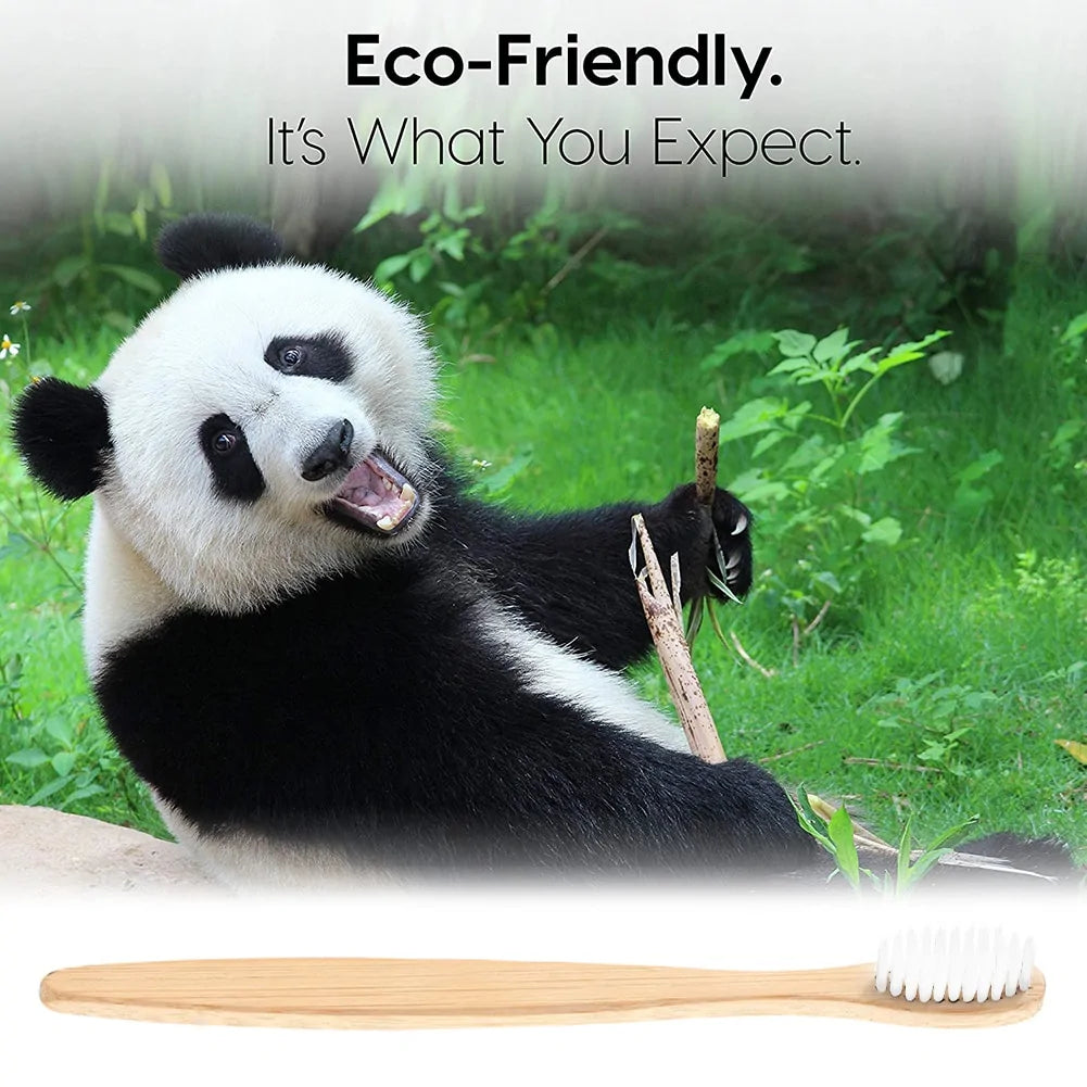 EcoPure Bamboo Toothbrush