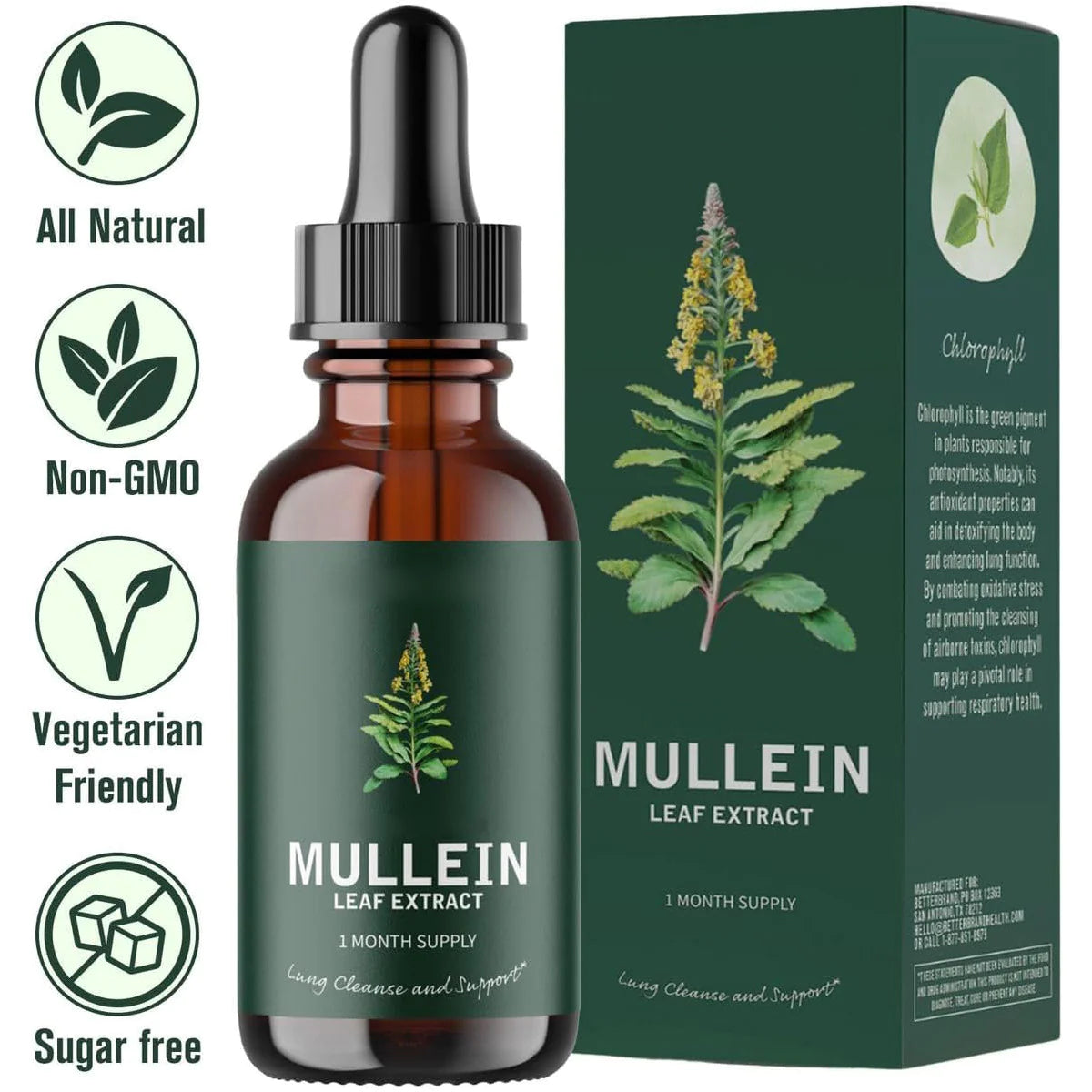 Mullein Herbal Extract