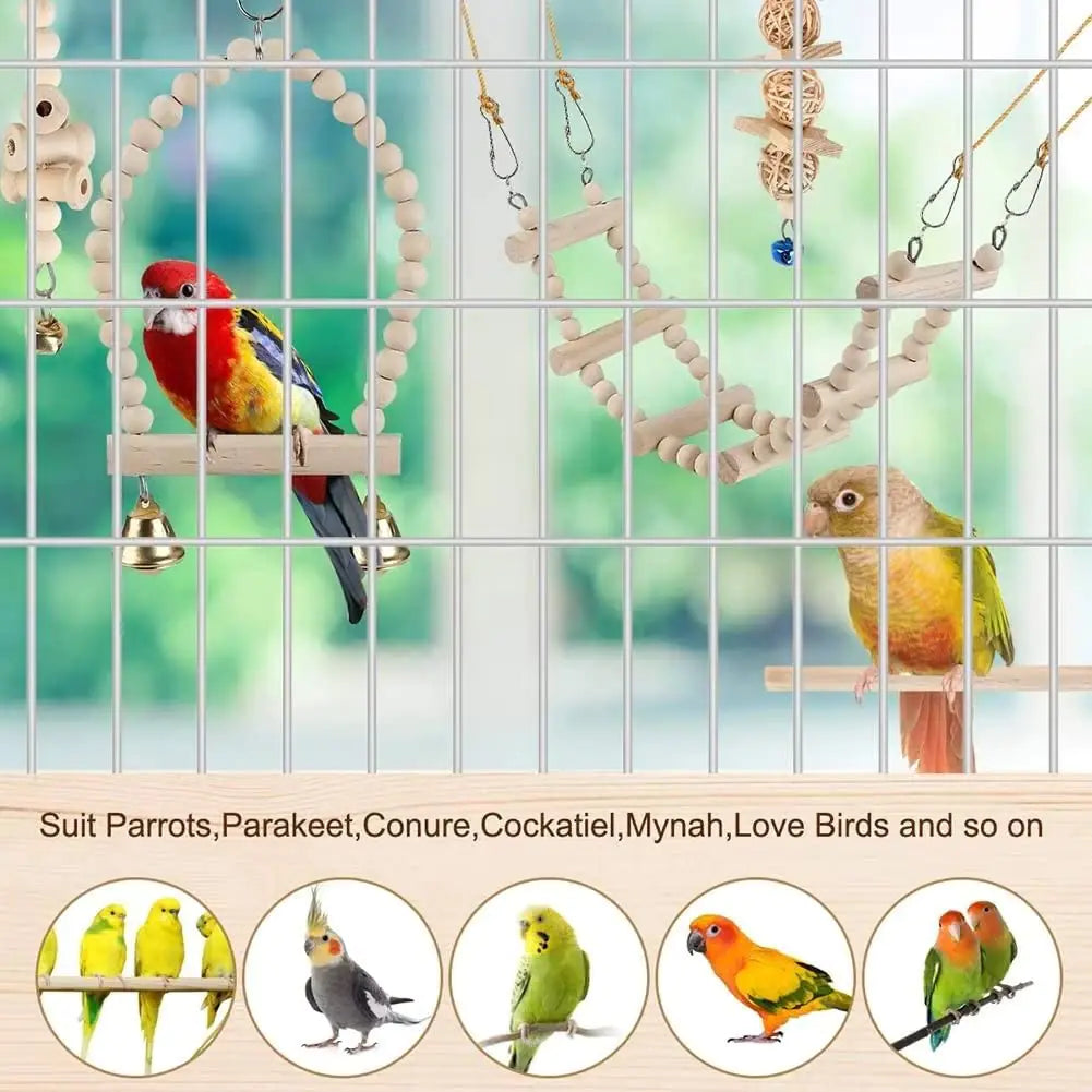 Parrot Playground Swings