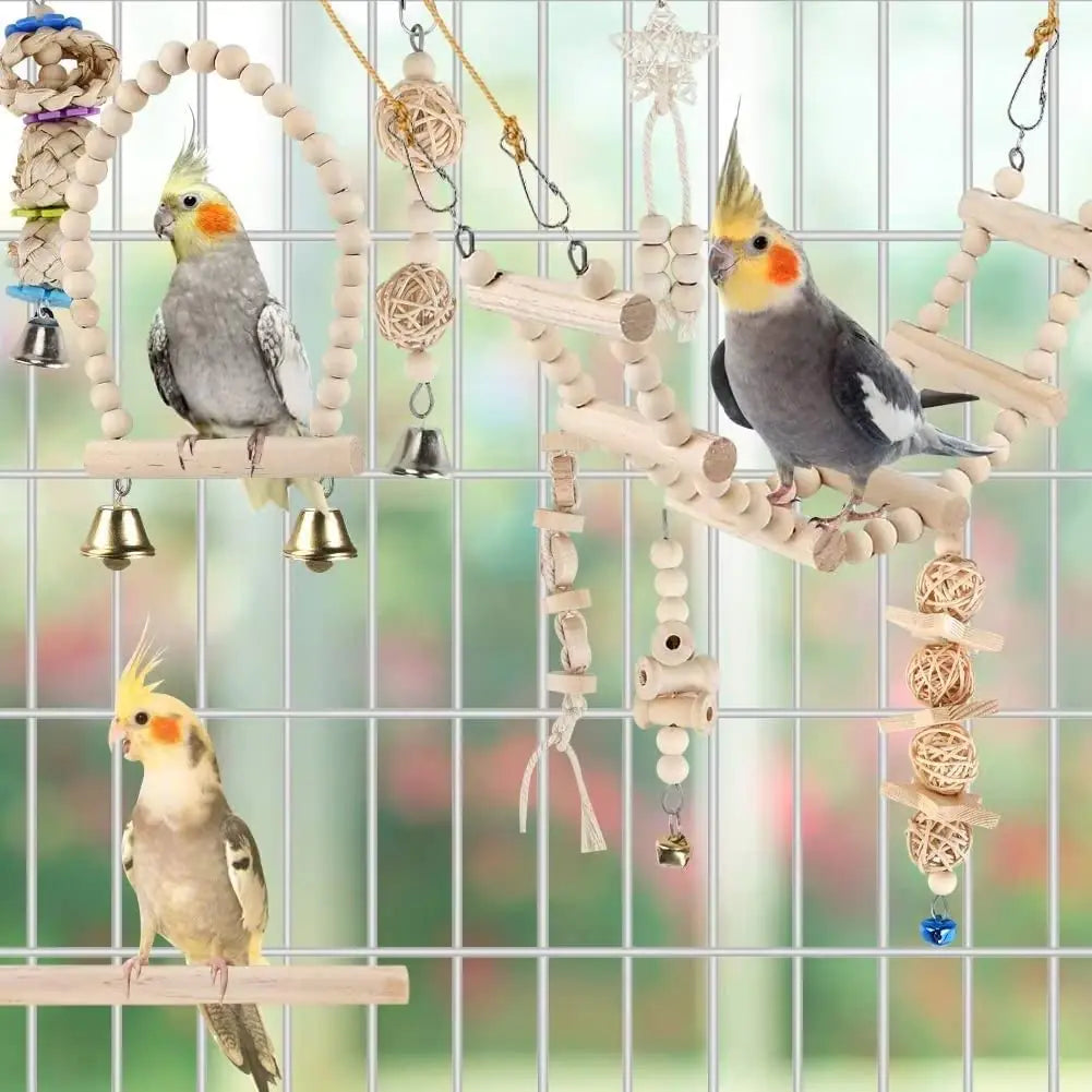 Parrot Playground Swings