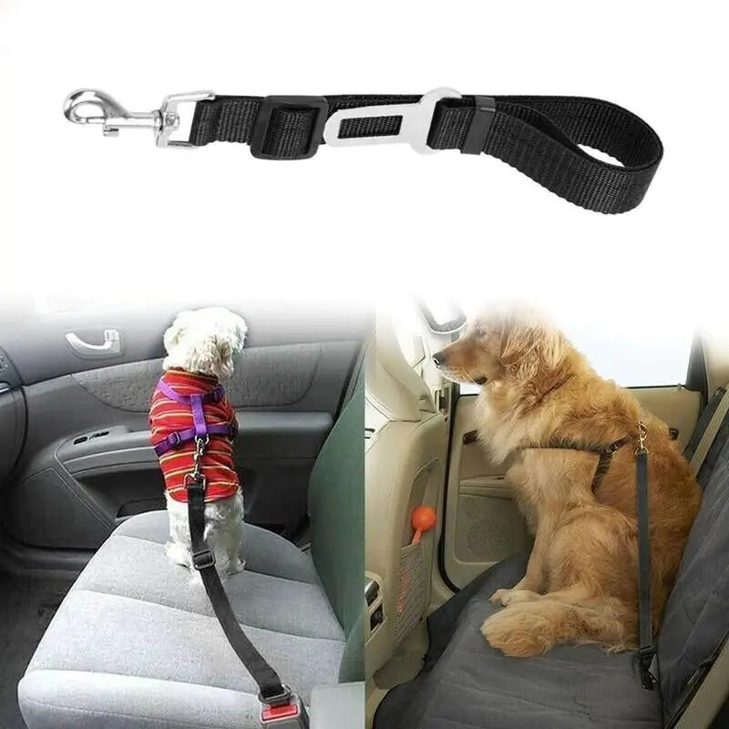 Dual Pet Car Safety Belts