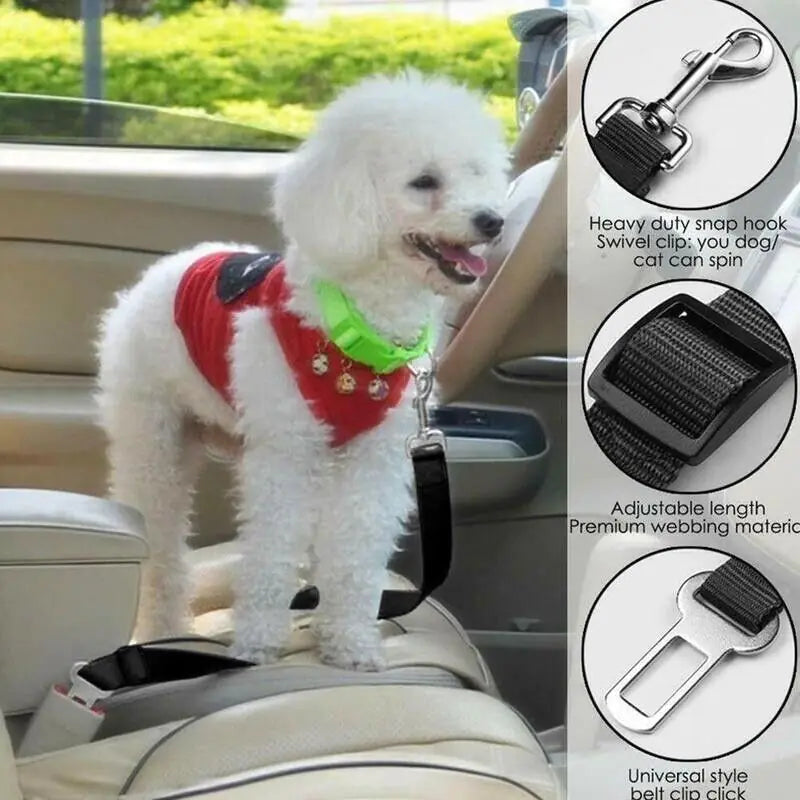 Dual Pet Car Safety Belts