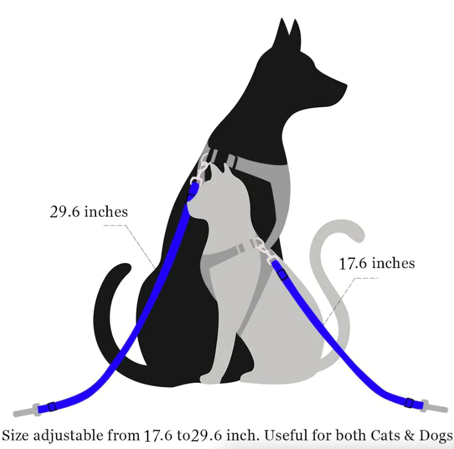 Dual Pet Car Safety Belts