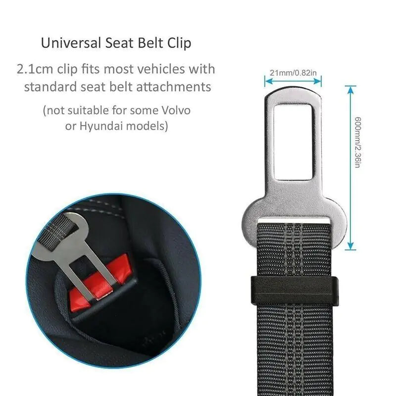 Dual Pet Car Safety Belts