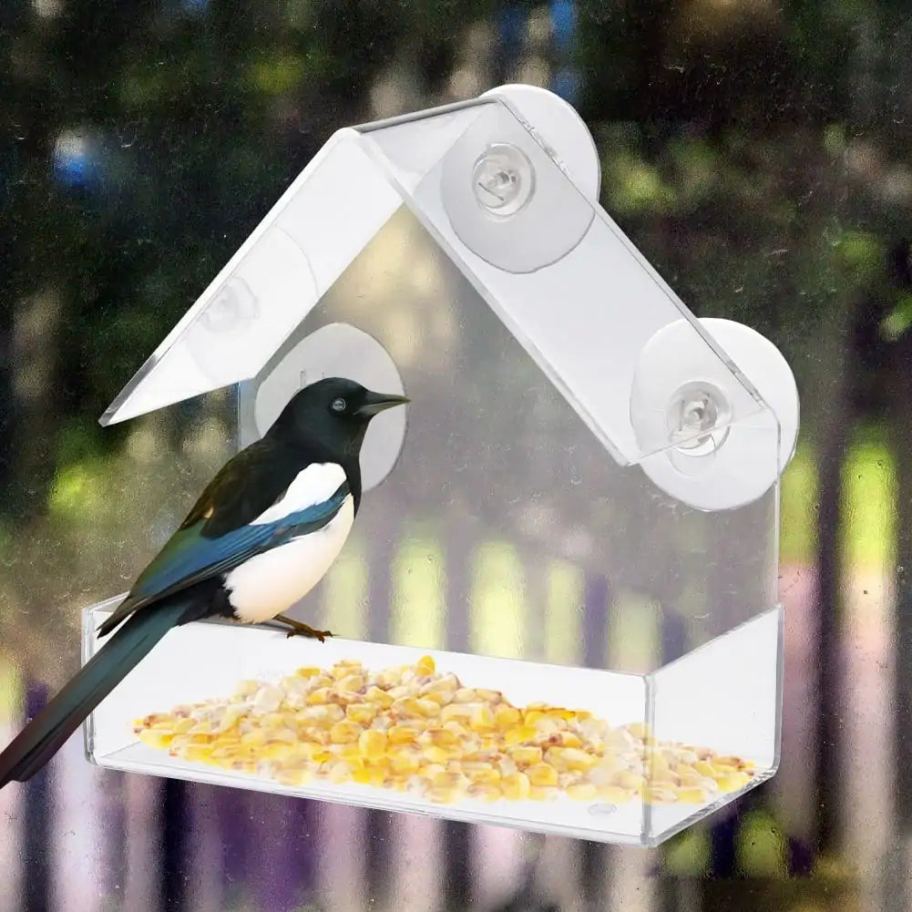 Clear View Suction Bird Feeder