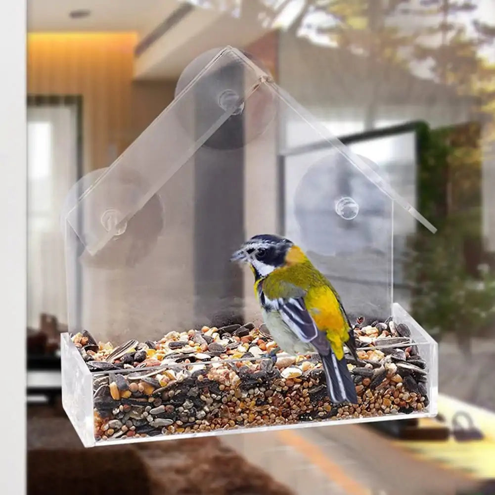 Clear View Suction Bird Feeder