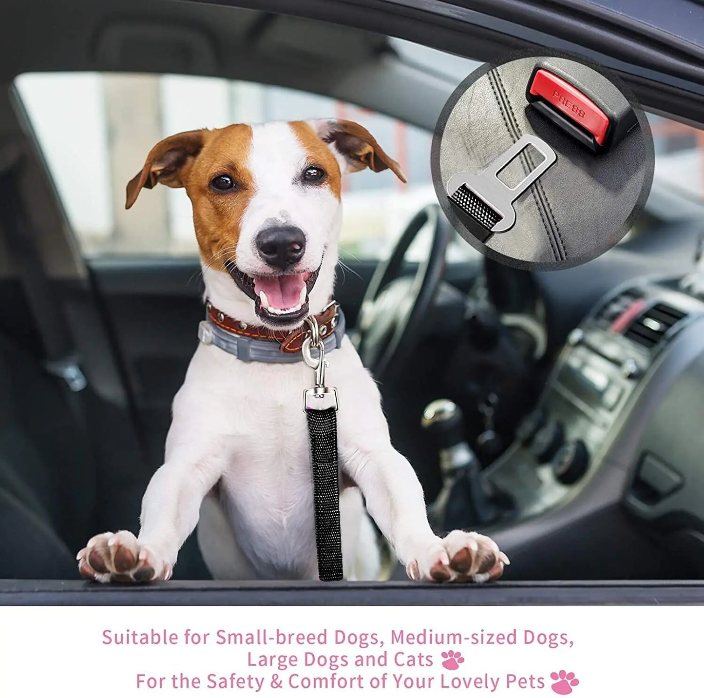 Dual Pet Car Safety Belts