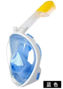 OceanView Panoramic Snorkel Mask