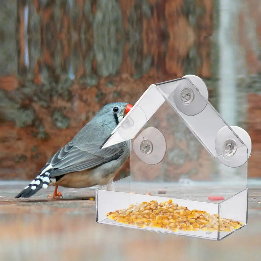 Clear View Suction Bird Feeder