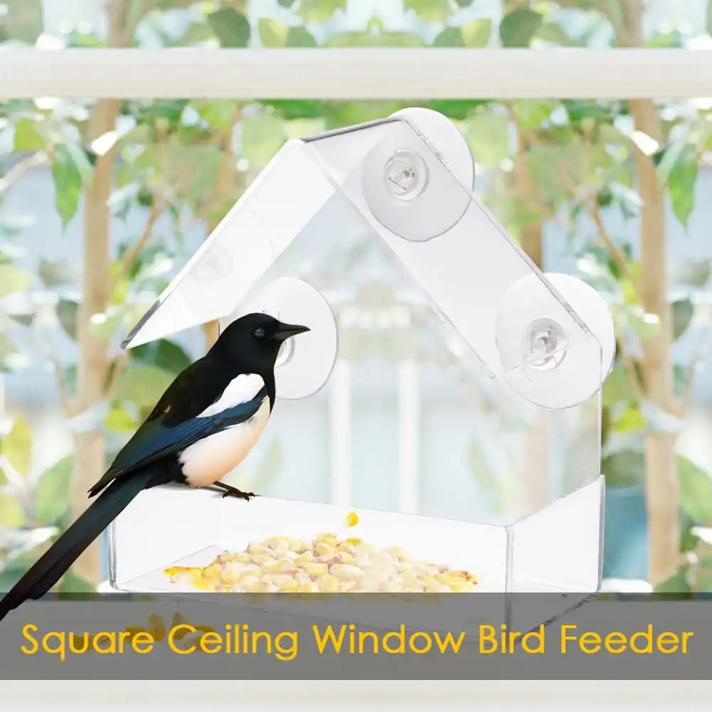 Clear View Suction Bird Feeder